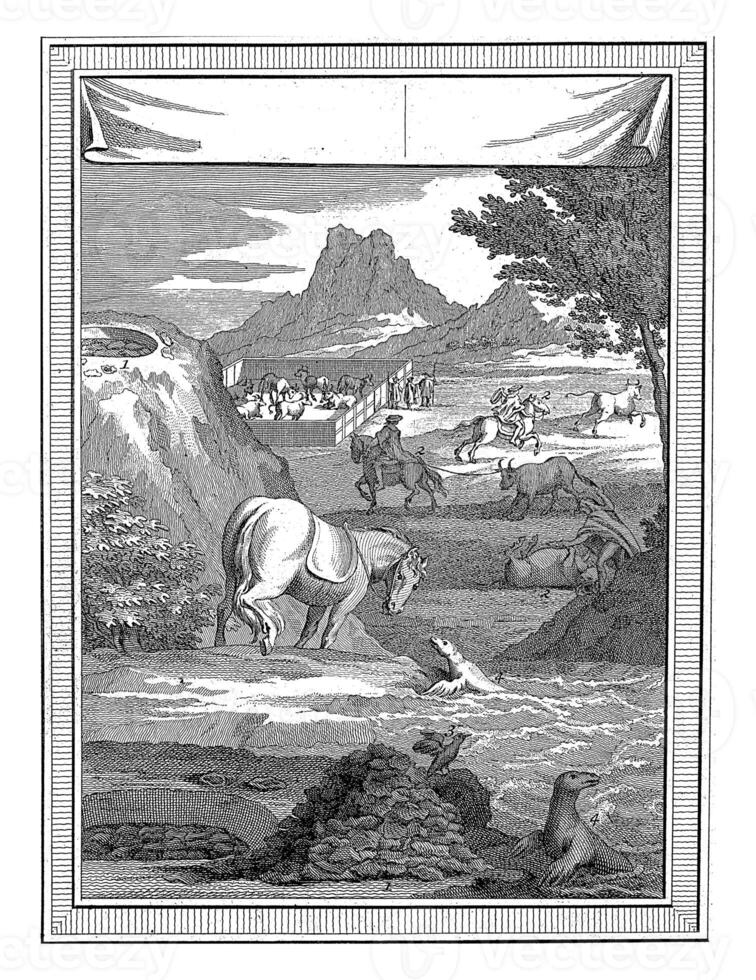 Catching Chilean Bulls, Harmanus Vinkeles, 1755 - 1800 photo