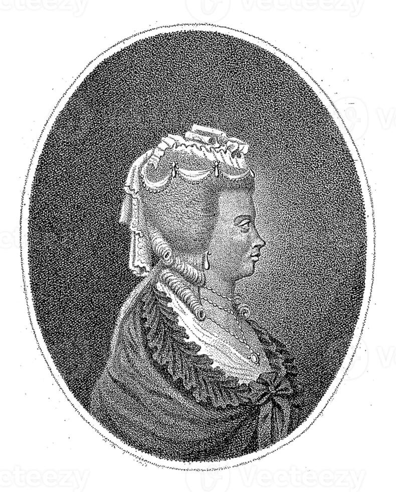 Portrait of Charlotte van Mecklenburg, Queen of Great Britain and Ireland, Hendrik Roosing, 1789 photo