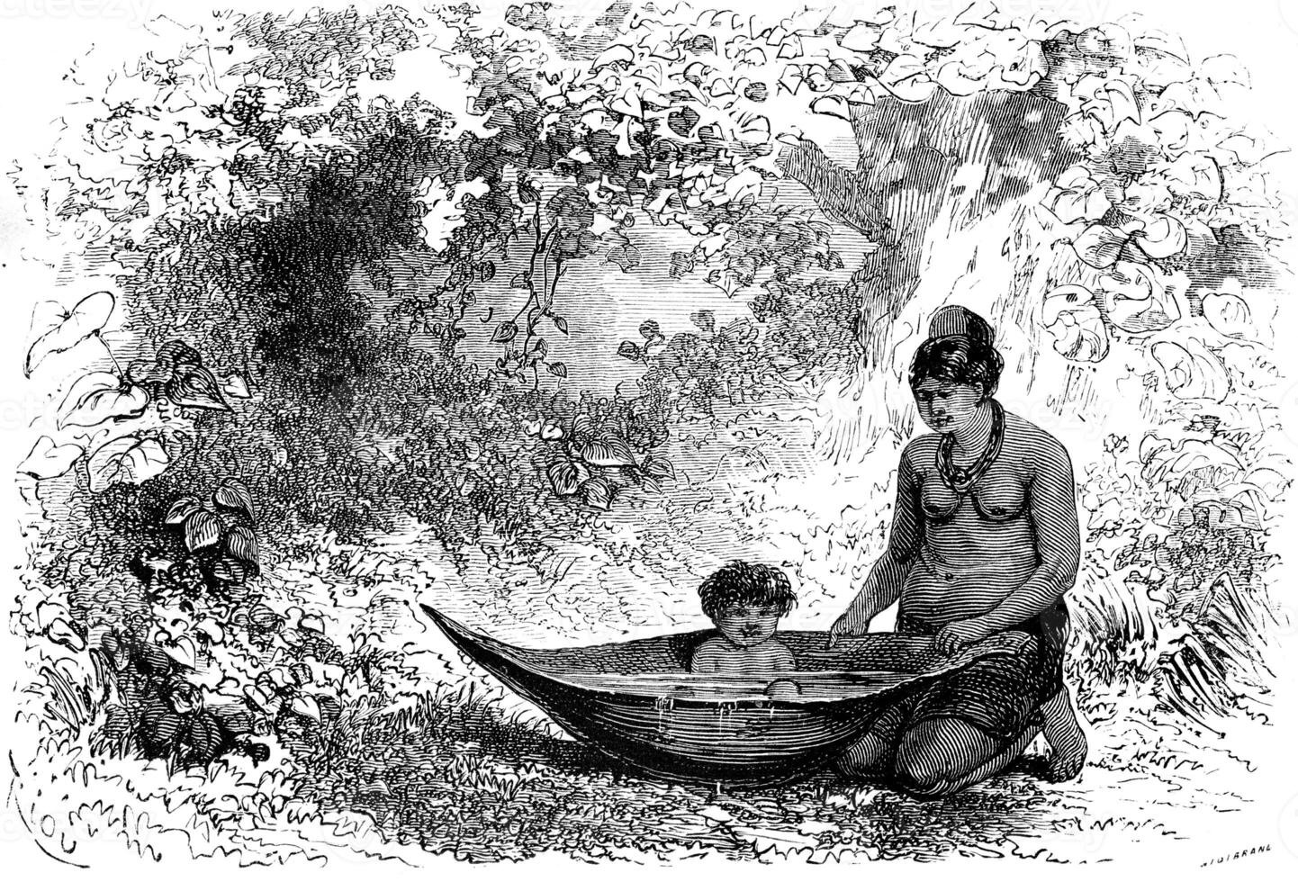 Bath in a palm spathe, vintage engraving. photo