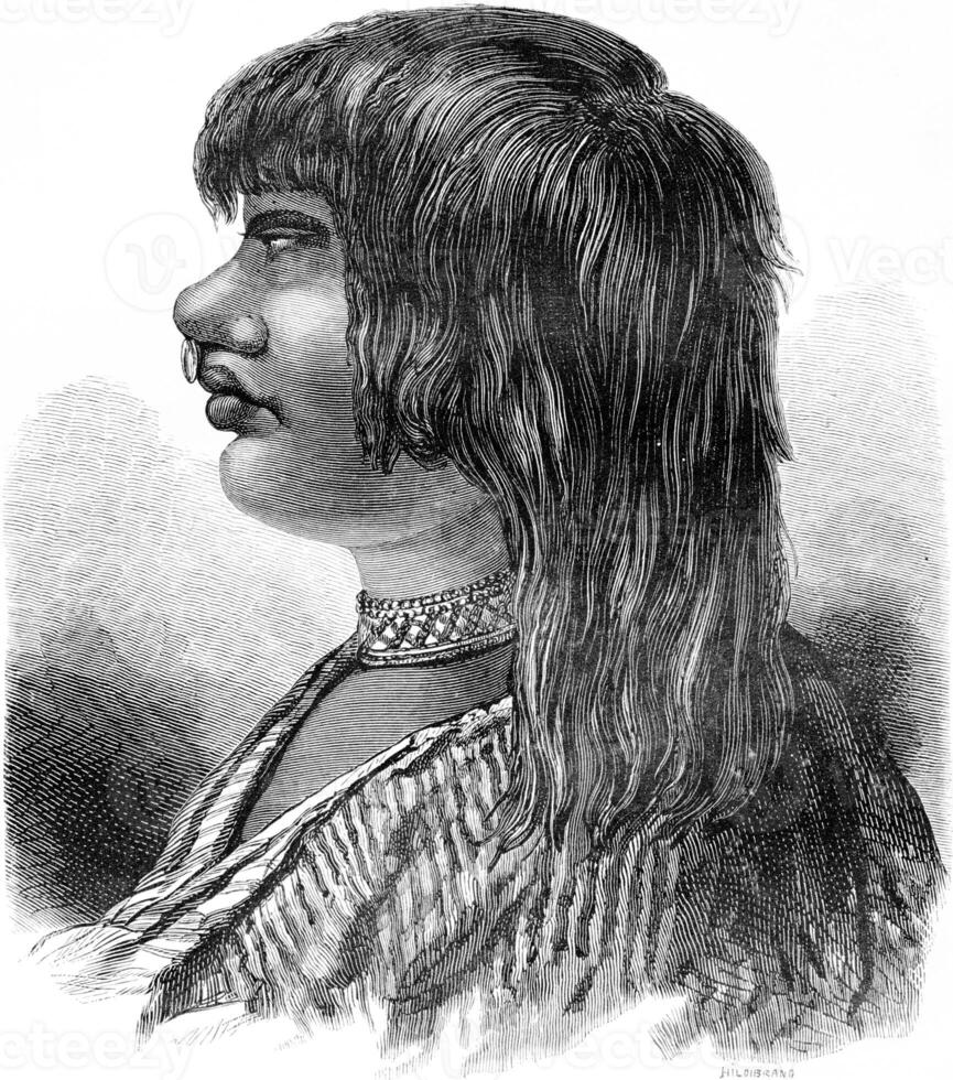 Type of Indian Sensi, vintage engraving. photo