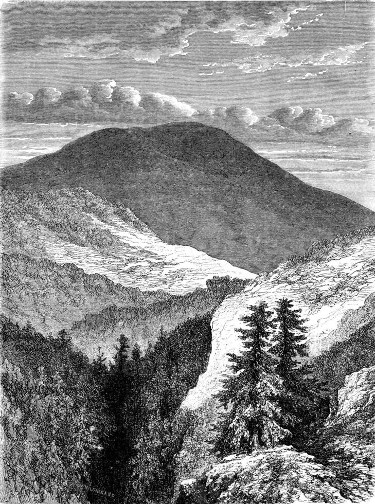 The Inselberg, vintage engraving. photo