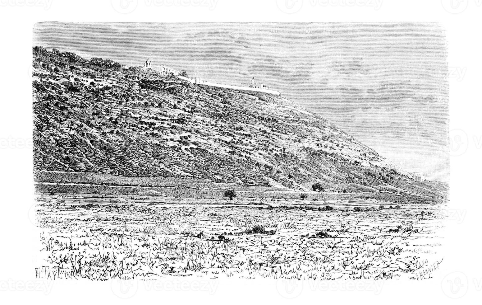 Mount Carmel as Viewed from the City of Haifa in Israel, vintage engraving photo