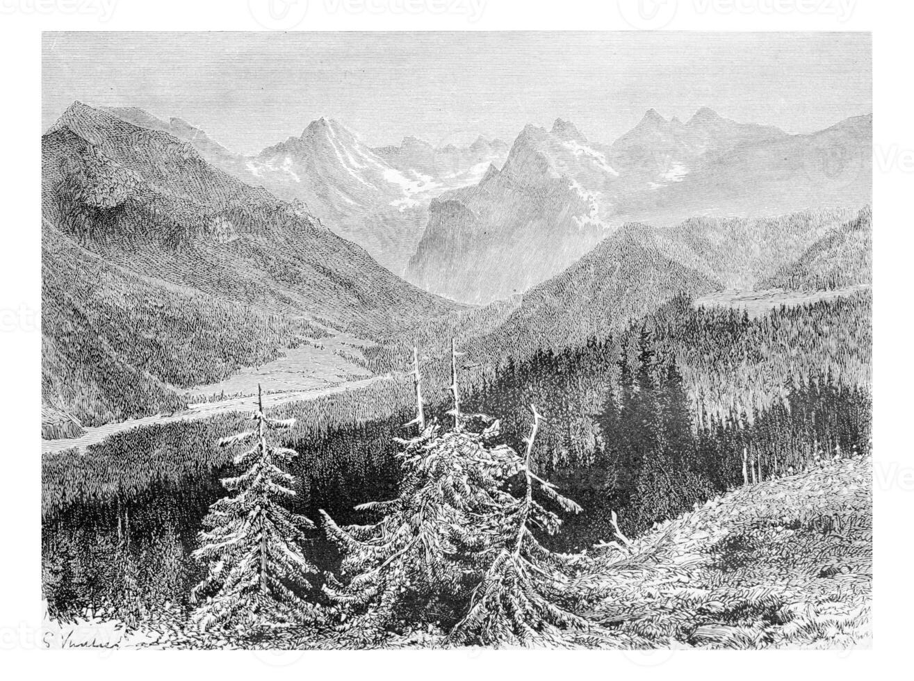 View of the Trzy Korony Massif and the Valley of the White Water in Pieniny Mountains, Poland, vintage engraving photo