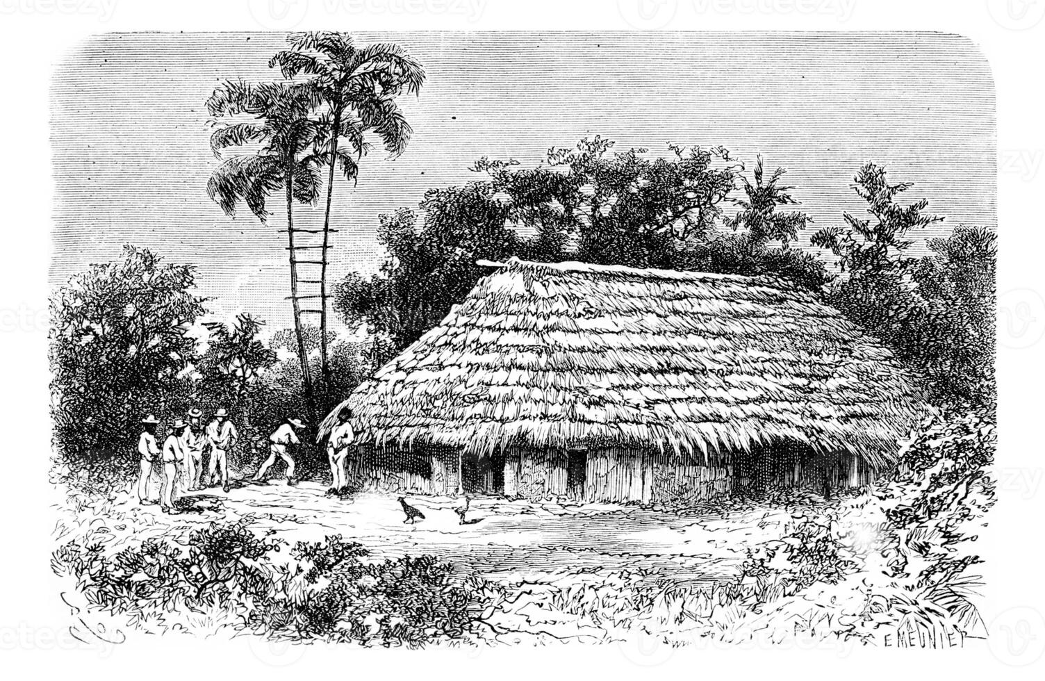 Typical Dwelling in the Town of Cuembi in Amazonas, Brazil, vintage engraving photo