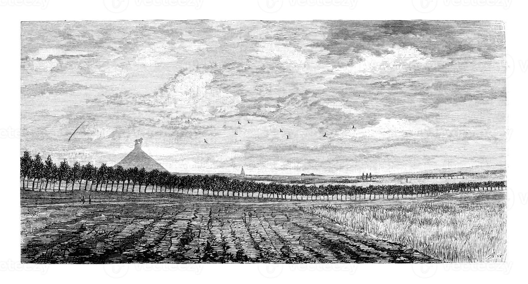 Field in Waterloo, Belgium, vintage engraving photo