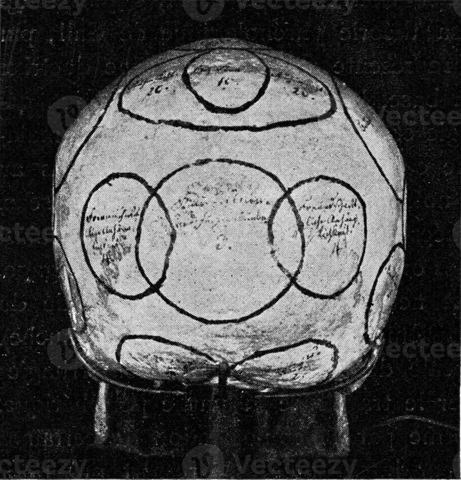 Skull with indication of Gall organs seen from side and back, vintage engraving. photo