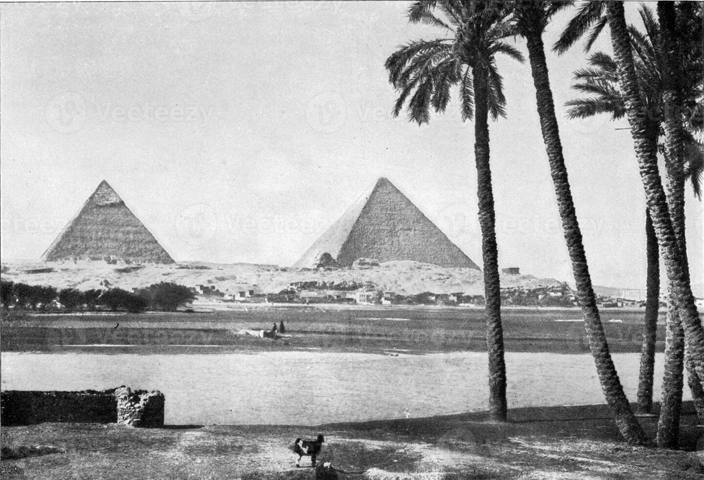 The banks of the Nile in Lower Egypt, vintage engraving. photo