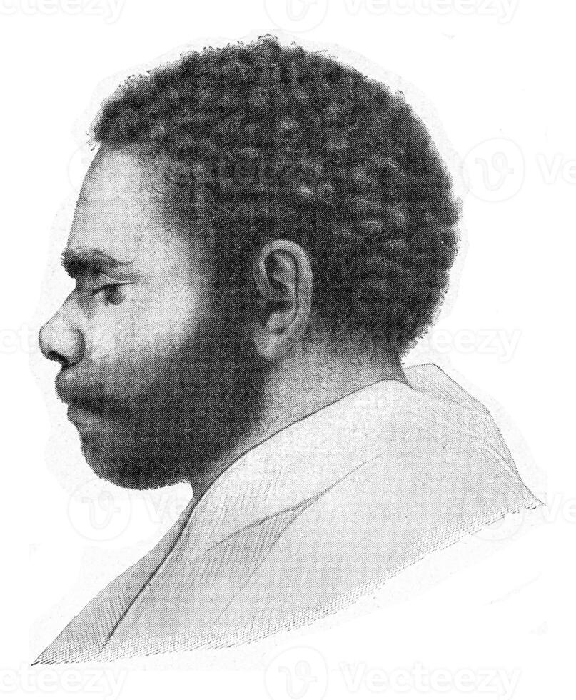 Head and face of one of the last survivors of the totally exterminated primitive inhabitants of Tasmania, vintage engraving. photo