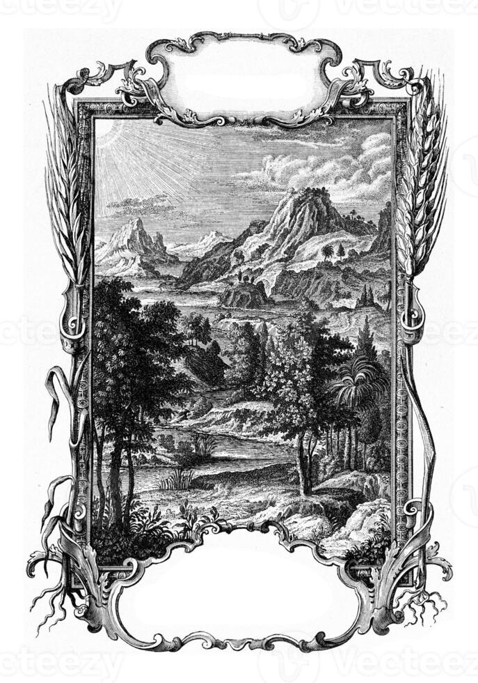 Evolution of the vegetable kingdom, vintage engraving. photo