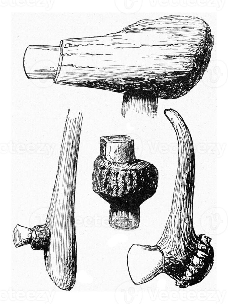 Stone ax from lake constructions of Switzerland, vintage engraving. photo