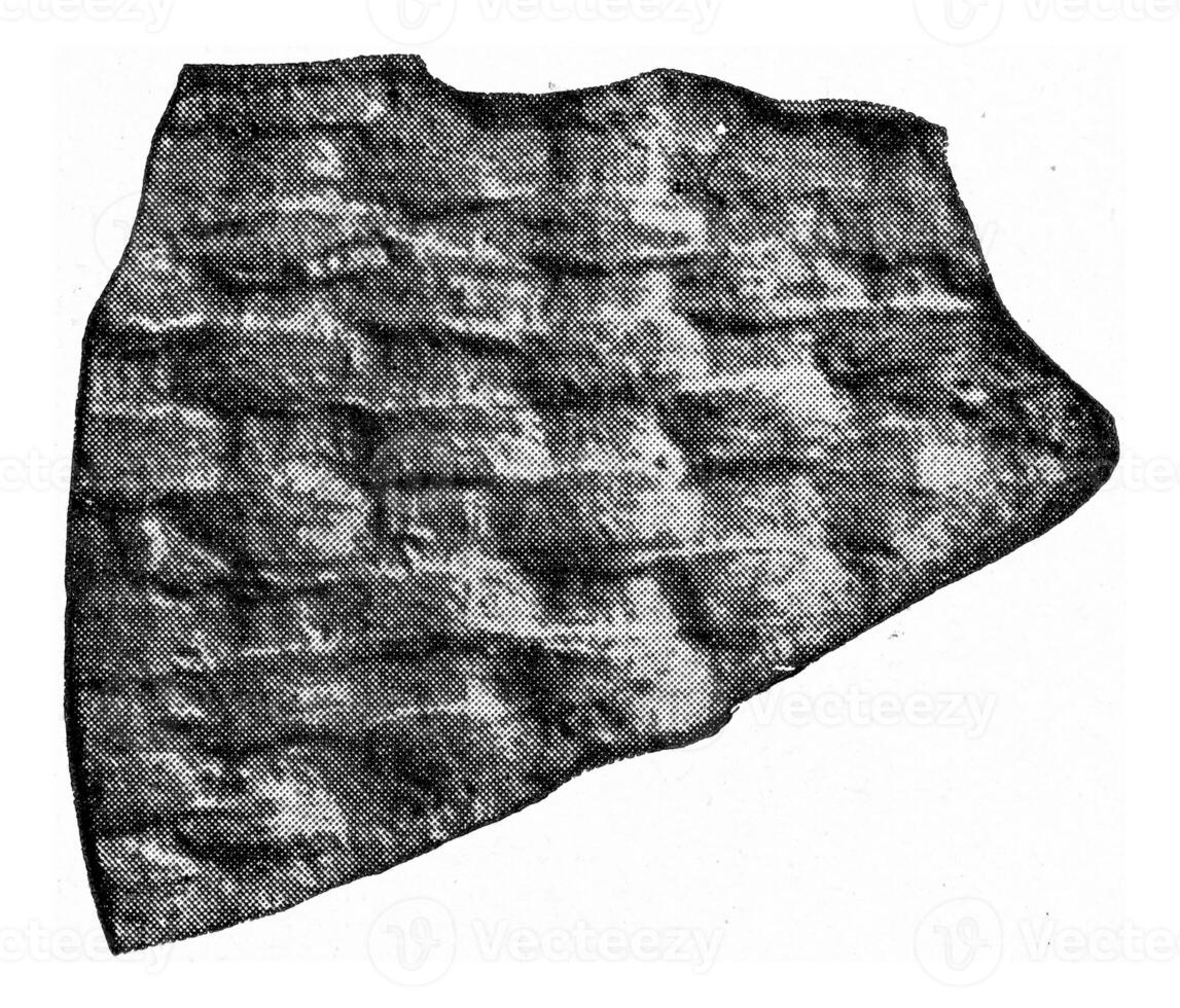 Footprint of a clay vase debris made on a mat, vintage engraving. photo