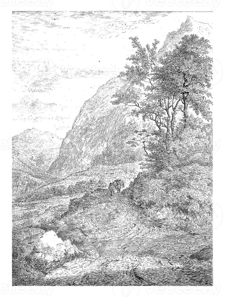 Mountain landscape vintage sketch photo
