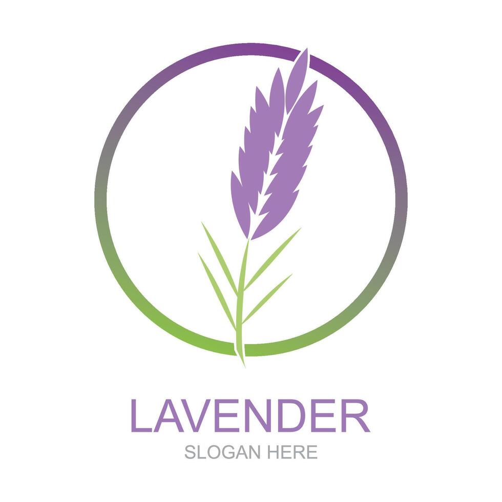 lavanda, logotipo, plantilla, vector, símbolo, naturaleza vector