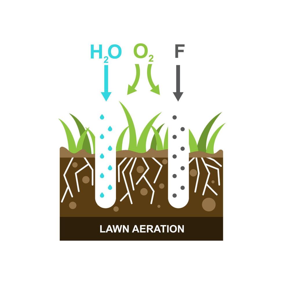 vector ilustración con césped aireación.