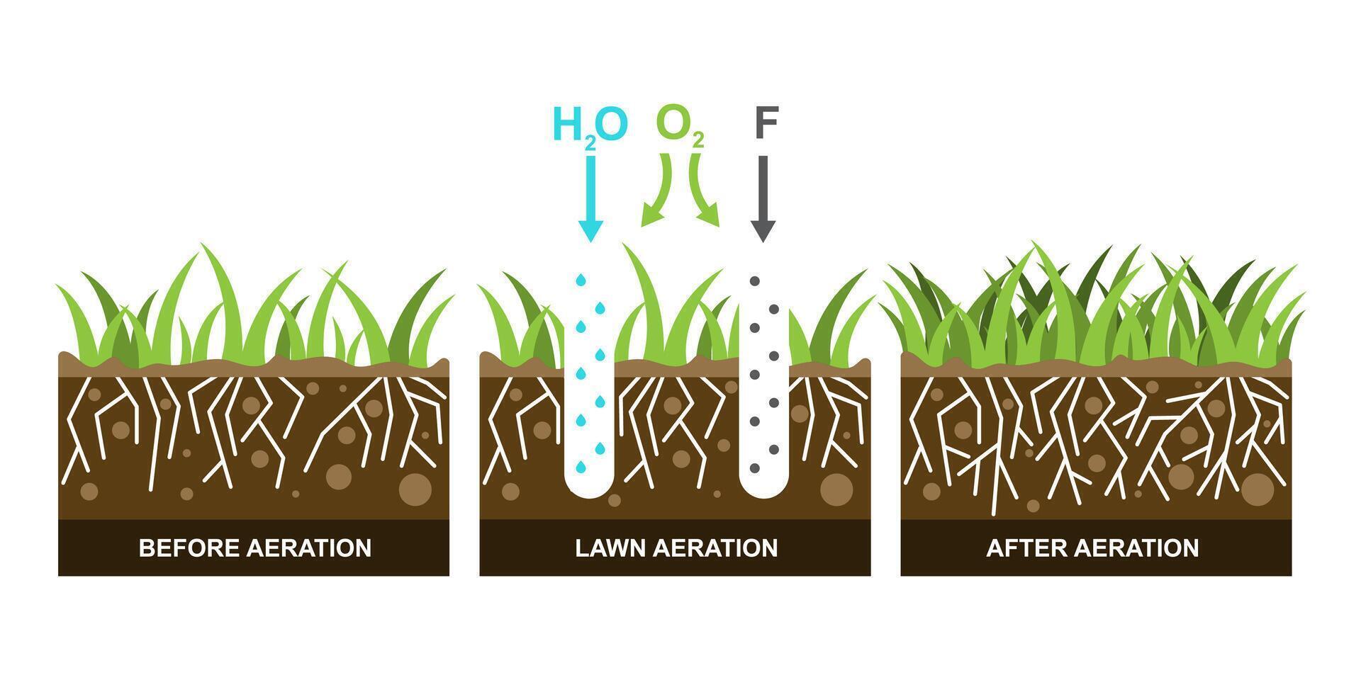 Vector illustration with lawn aeration.