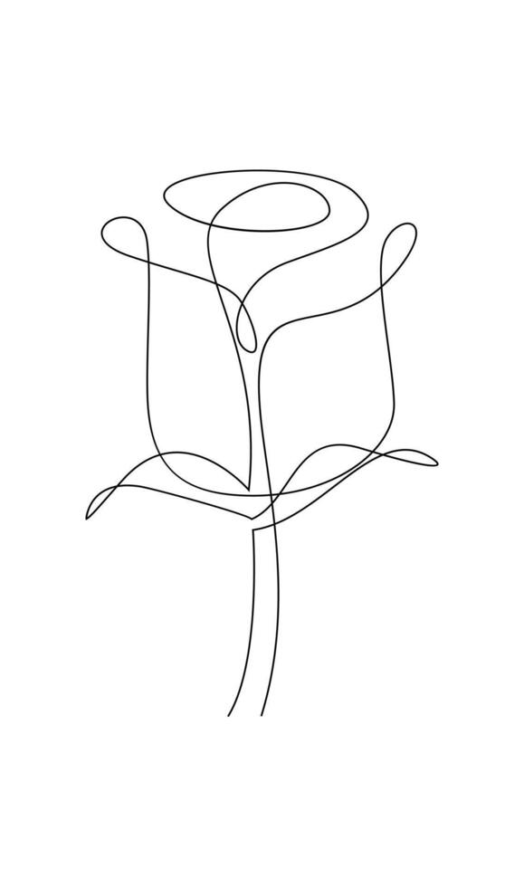 One line drawing. Garden rose with leaves. Hand drawn sketch. vector