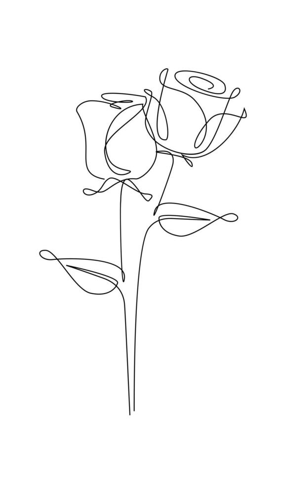 One line drawing. Garden rose with leaves. Hand drawn sketch. vector