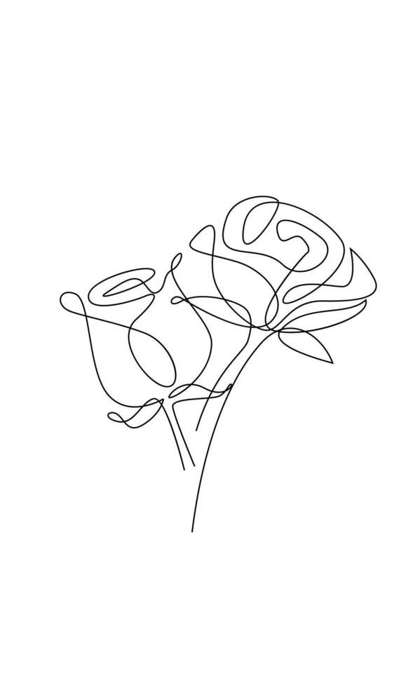 One line drawing. Garden rose with leaves. Hand drawn sketch. vector