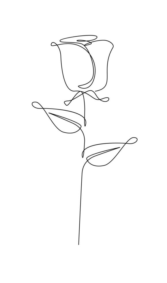 One line drawing. Garden rose with leaves. Hand drawn sketch. vector