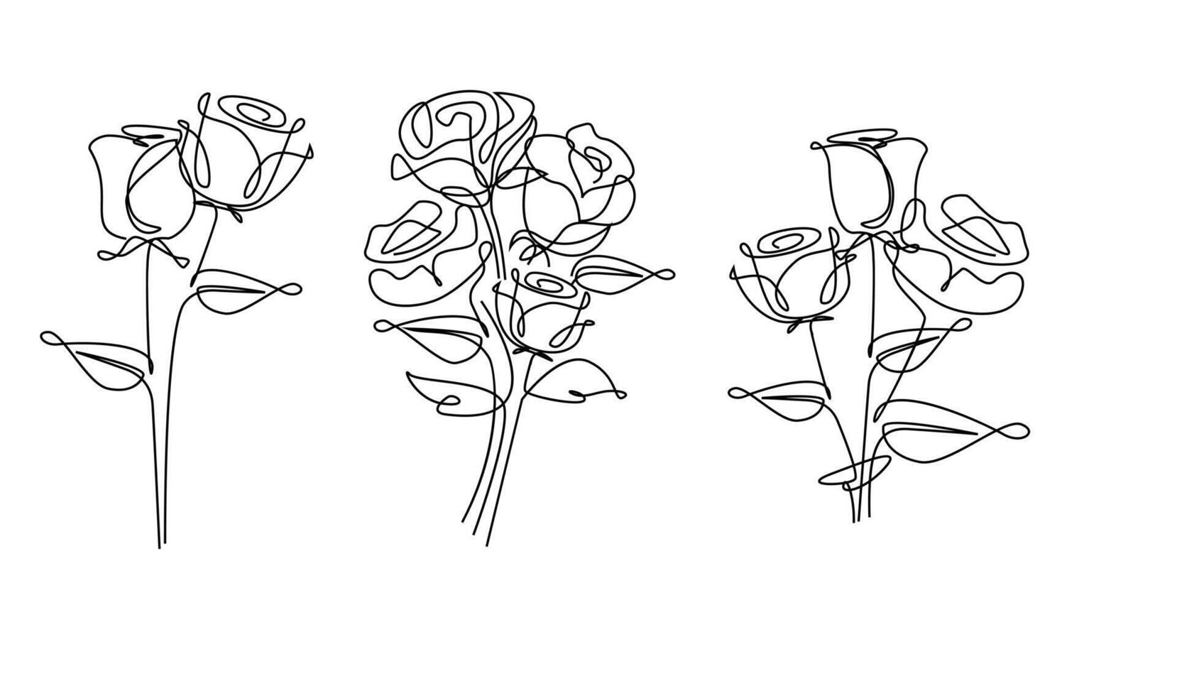 One line drawing. Garden rose with leaves. Hand drawn sketch. vector