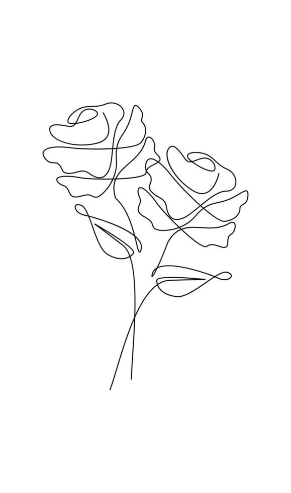 One line drawing. Garden rose with leaves. Hand drawn sketch. vector