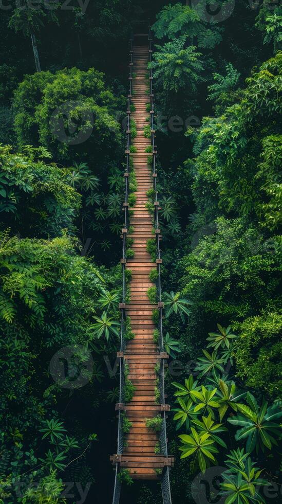 AI generated Experience eco-tourism with a canopy walkway above the rainforest, offering a bird's eye view of nature photo