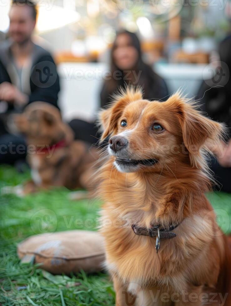 AI generated At a community pet care meetup, supportive pet owners share informative advice with each other. photo