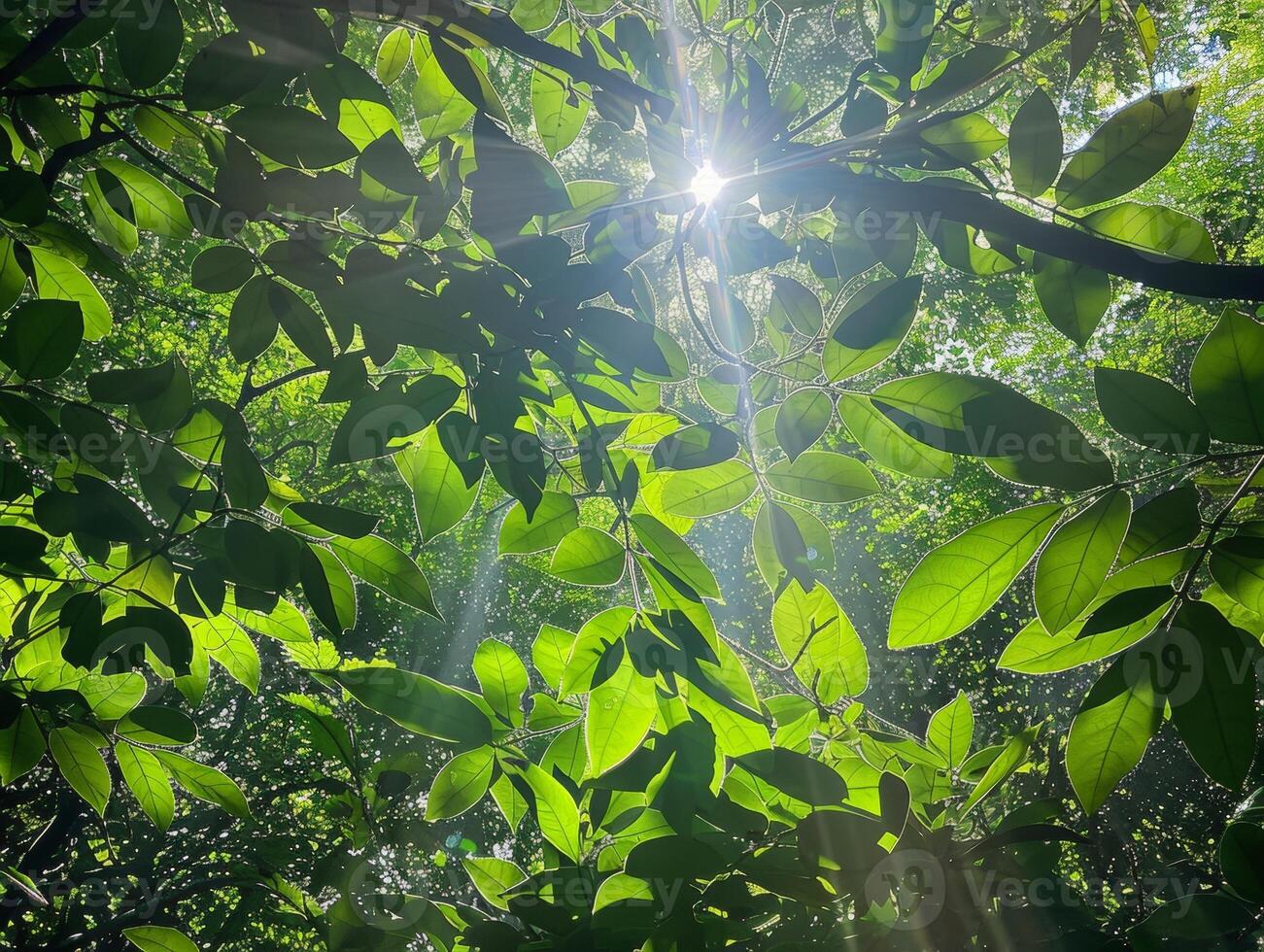 AI generated Rainforest trekking, dense green canopy, sunlight filtering through photo