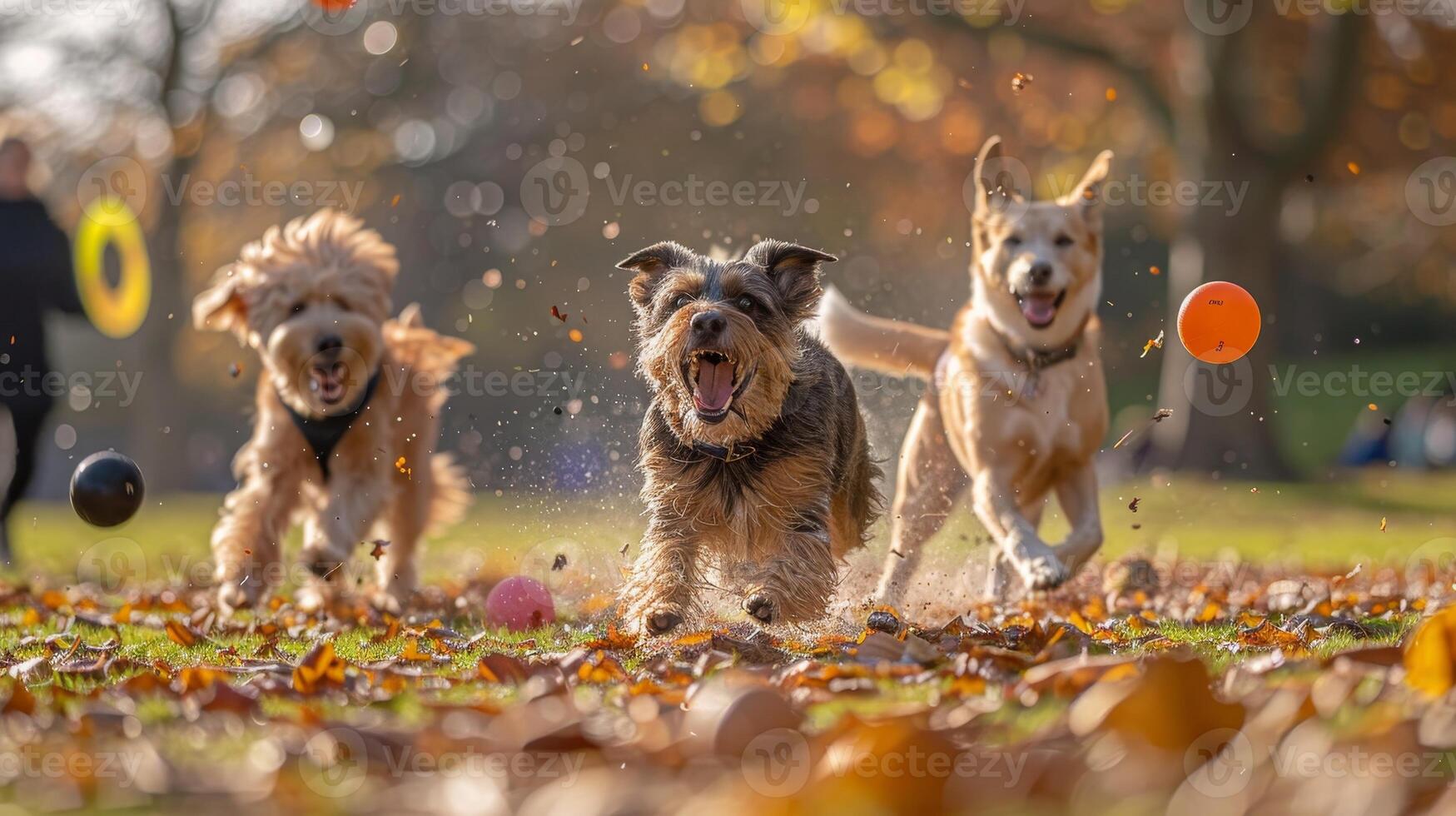 AI generated Dogs at the park, chasing flying discs and balls while playing fetch, captured in an action shot. photo