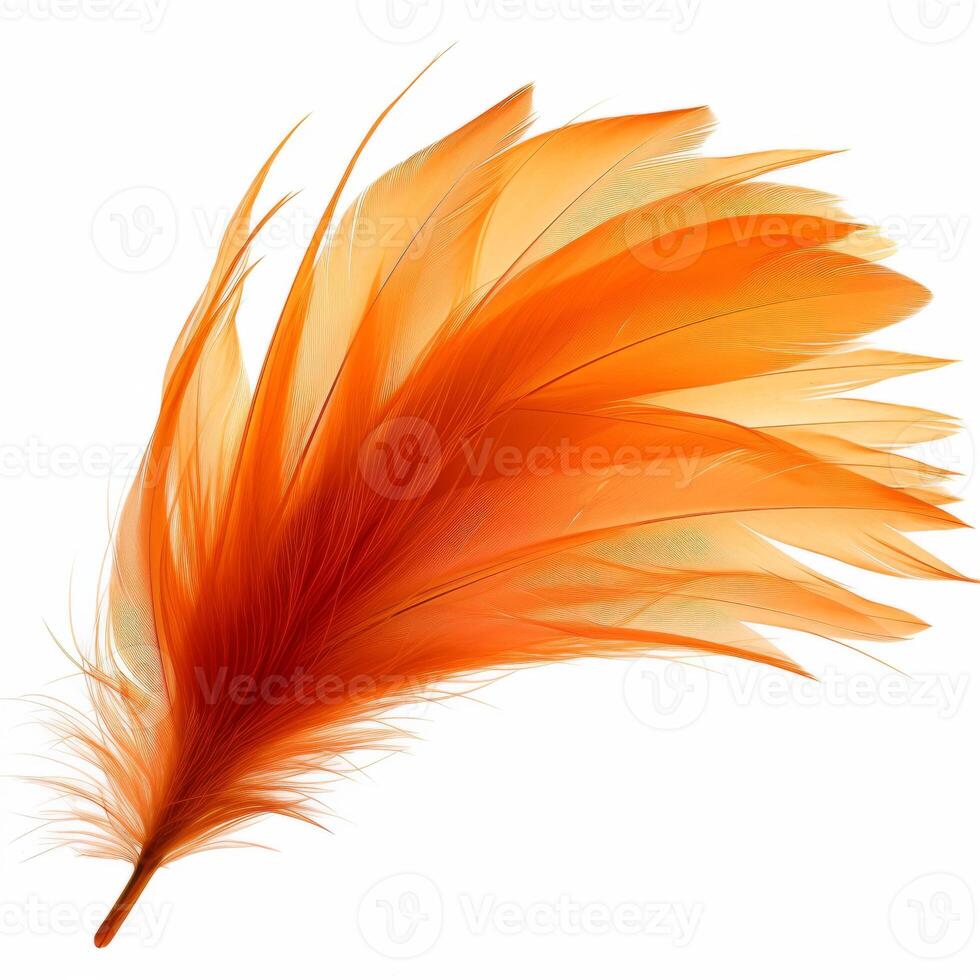 AI generated Orange feather isolated on white background. Closeup of bird feather. photo