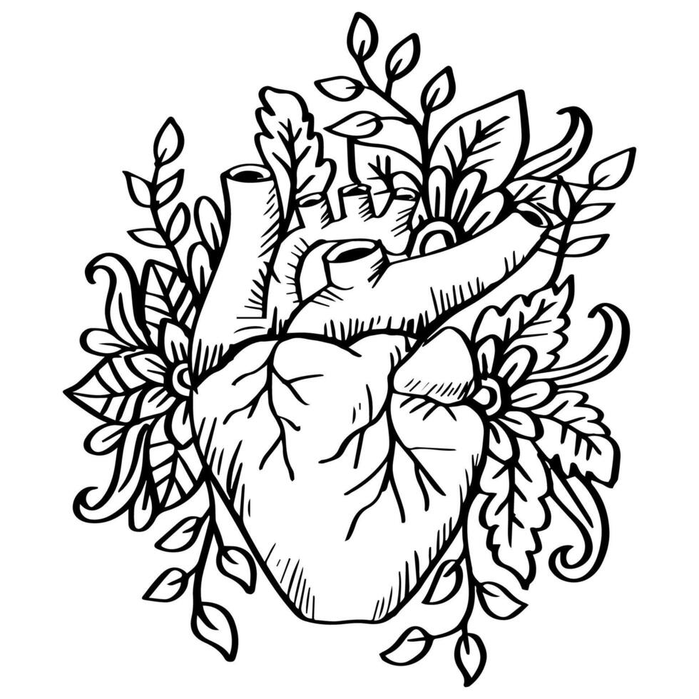 Heart organ sketch with floral ornament. vector