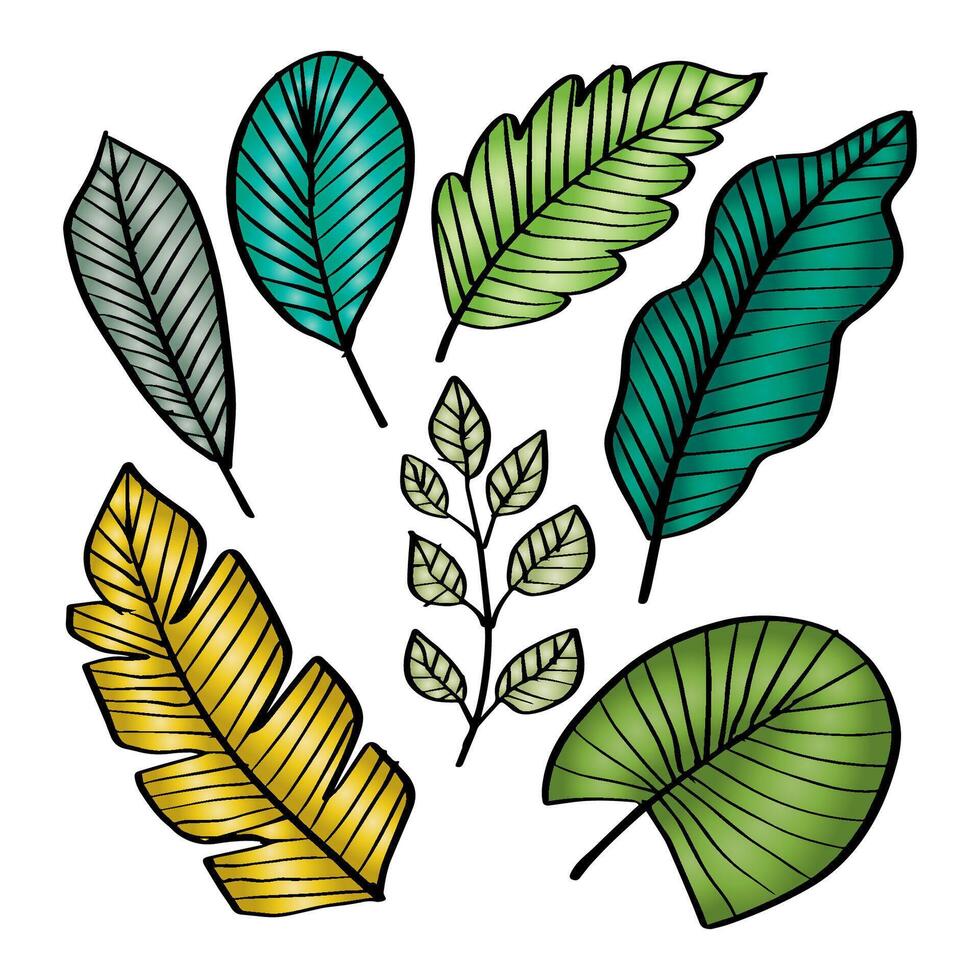 Leaves doodle set vector