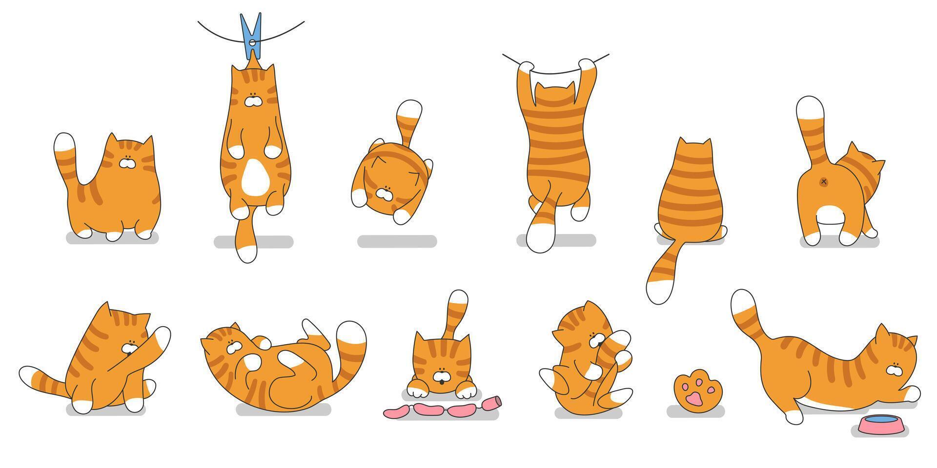 Set cartoon cute cats vector illustration. Cat funny character.