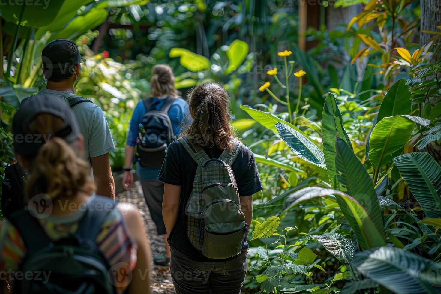 AI generated During the interactive botanical garden tour, visitors will learn about plant diversity in a lush green environment, guided by informative signs along the path. photo