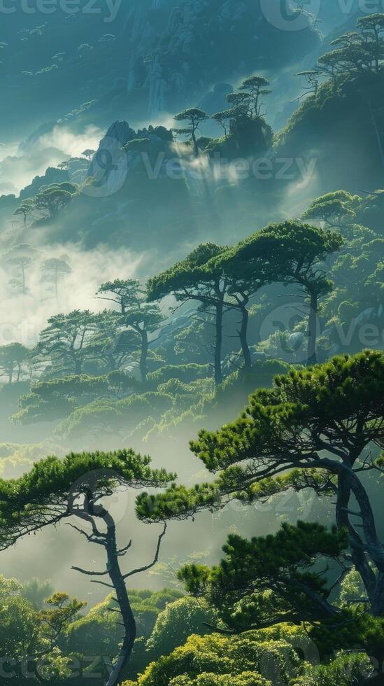 AI generated Serene morning in a national park, fog lifting around ancient trees, showcasing forest preservation and natural beauty. photo