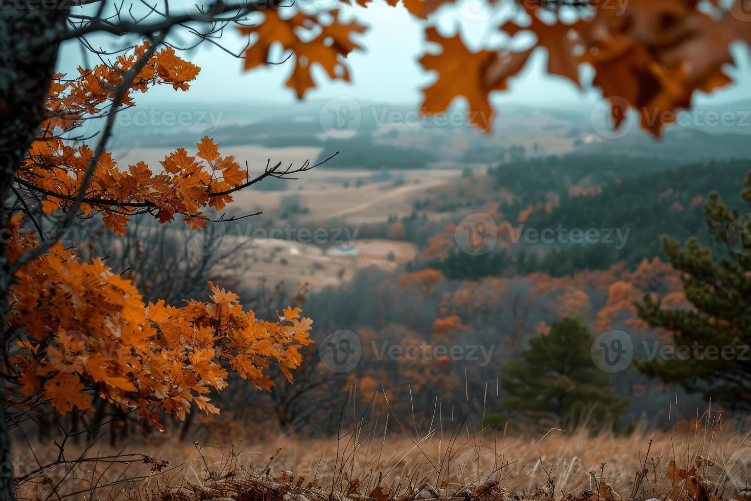 AI generated Saturated autumn forest vs desaturated barren land, sharp details on leaves vs blurry distant hills photo