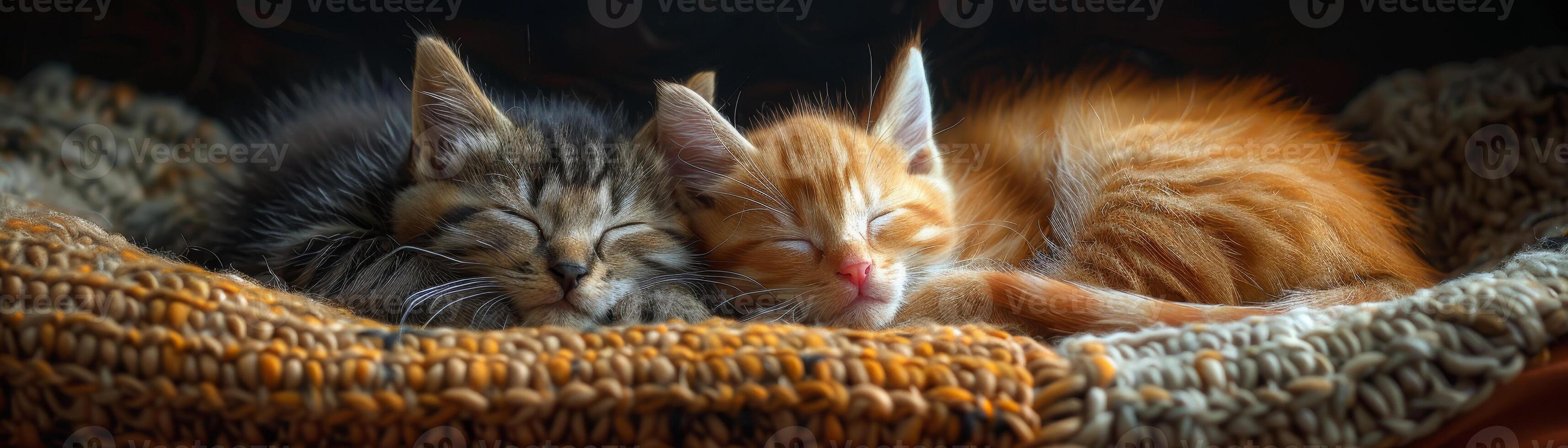 AI generated Furry friends enjoy snuggling on a cozy pet bed for warmth and comfort. photo