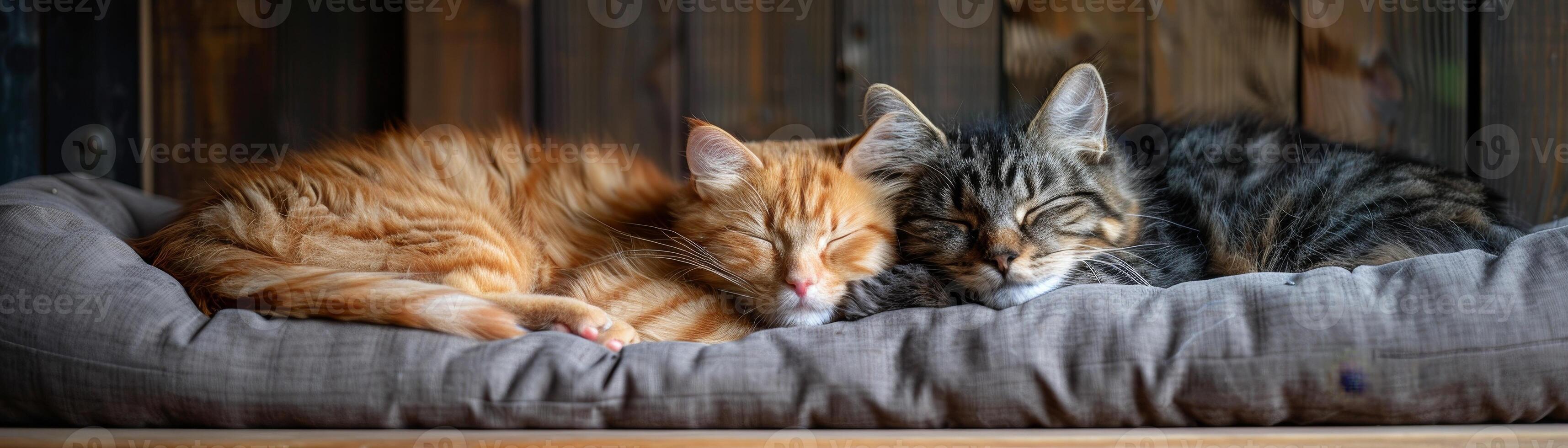 AI generated Furry friends enjoy snuggling on a cozy pet bed, finding warmth and comfort in each other's company. photo