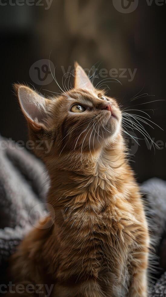 AI generated Workshop on pet photography tips Learn to capture pets in natural poses, an educational experience. photo