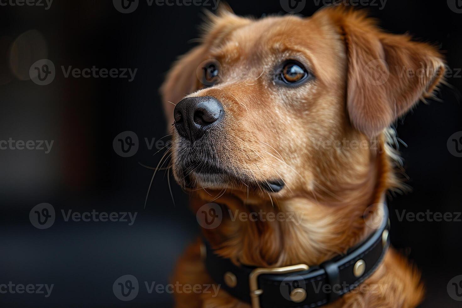 AI generated Safety oriented design for night walks Reflective pet collar. photo