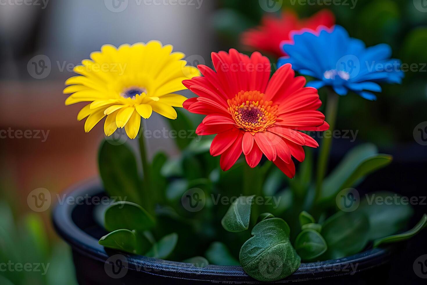 Bouquet of beautiful gerberas in a container. AI generated. photo