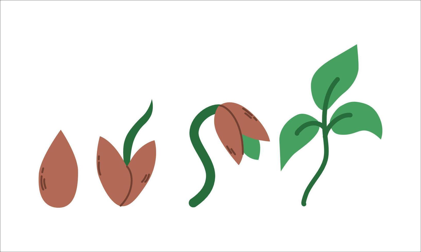 Sprouting Seed Plant Growth Drawing. This illustration can be used for a slogan in the form of an invitation to plant trees, as education. vector