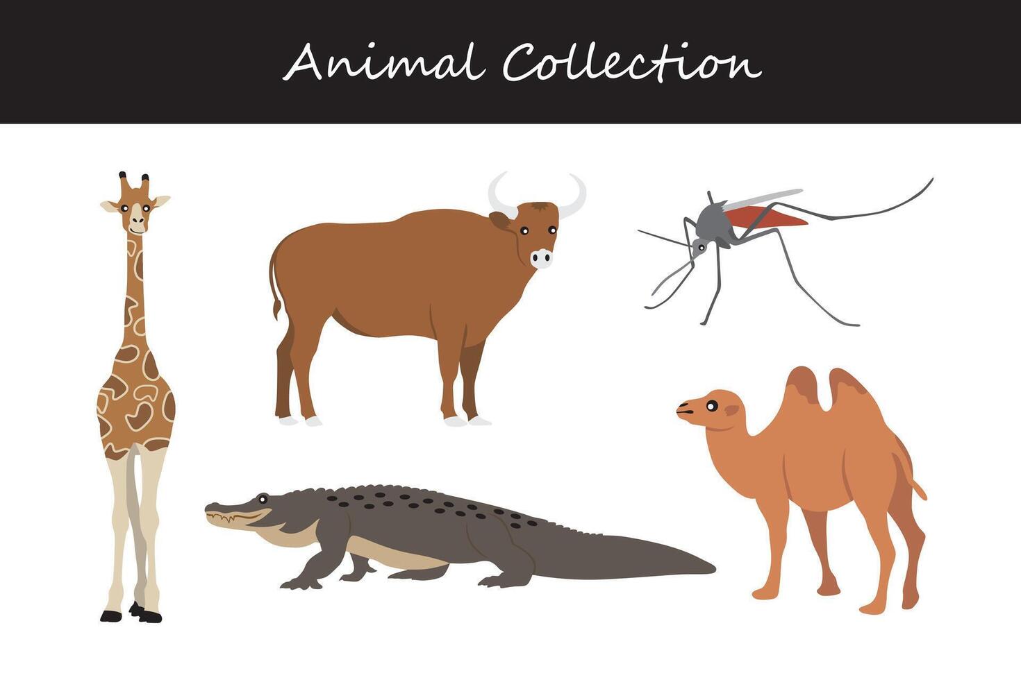 animal recopilación. dibujos animados estilo. vector ilustración aislado en blanco antecedentes.