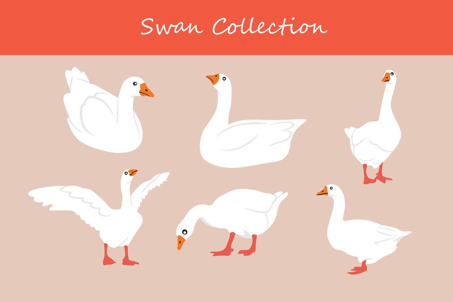 Swans set. Vector illustration of a flock of white swans.