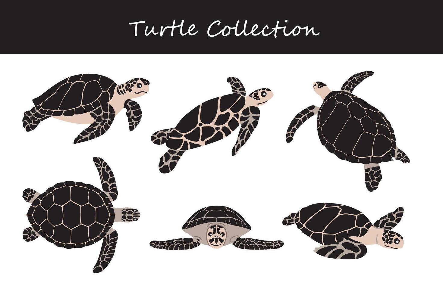 Sea turtle collection. Vector illustration
