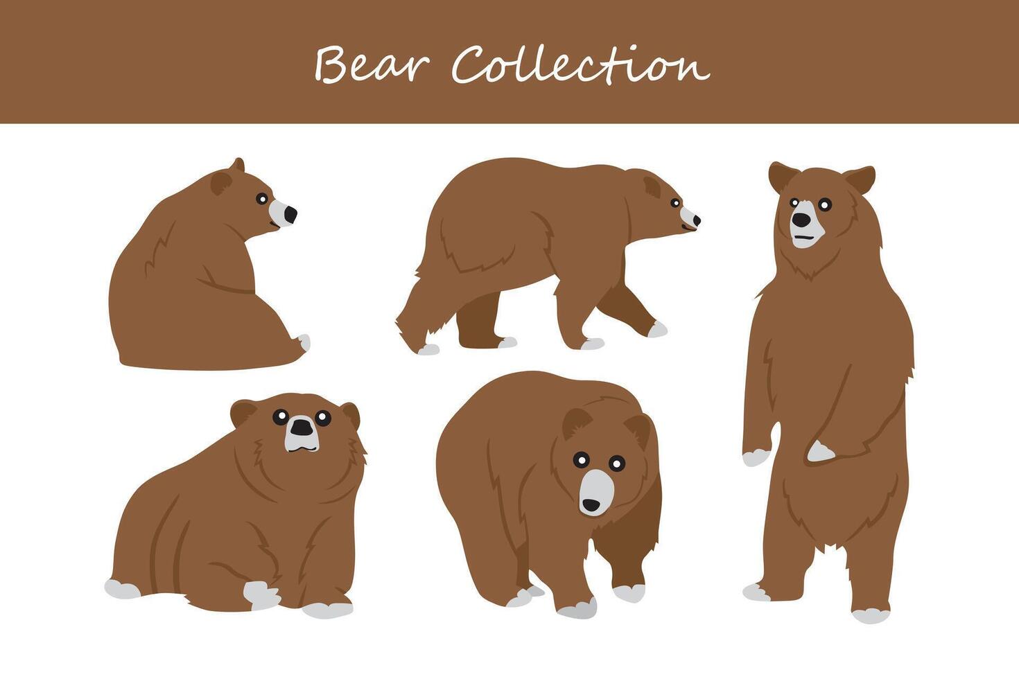 Set of brown bears. Vector illustration isolated on a white background.