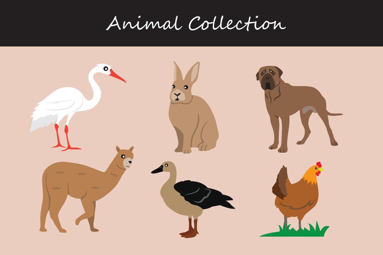 Animal collection. Cartoon style. Vector illustration isolated on white background.