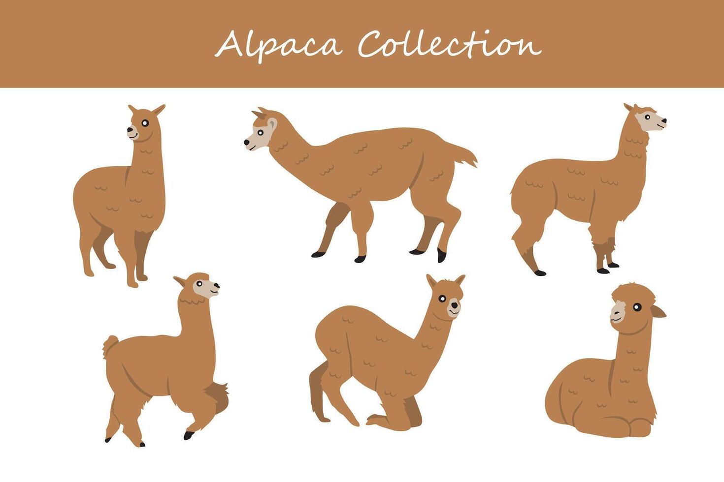 alpaca. colección de linda alpacas vector ilustración