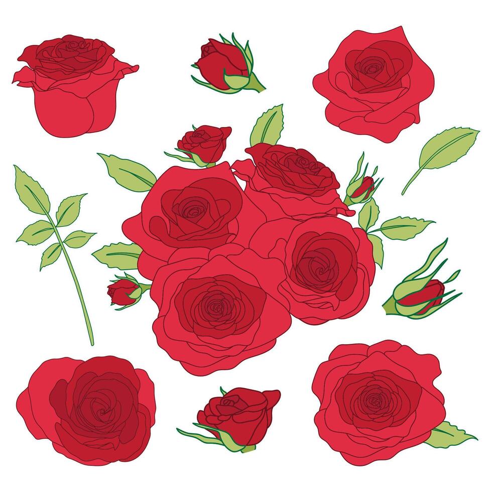 conjunto de rojo rosas colección y verde hojas para Boda o enamorado saludo tarjeta o invitación diseño vector