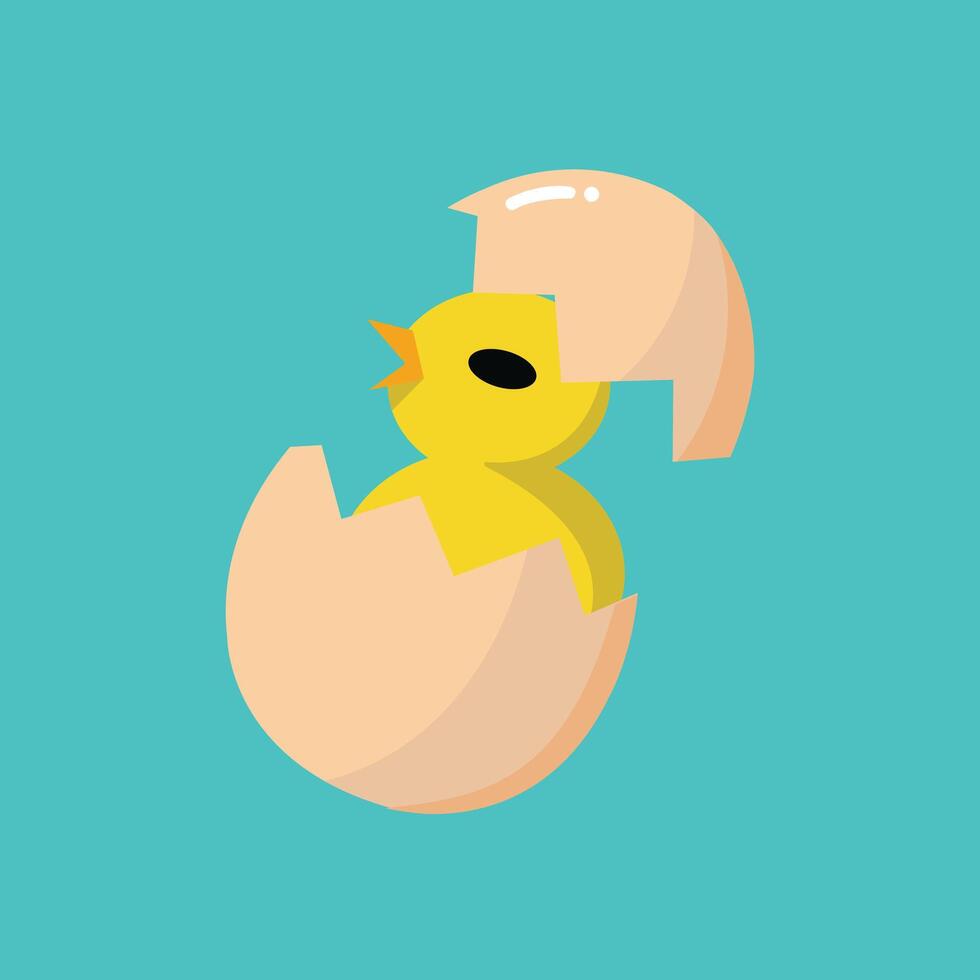 chicken born from egg vector